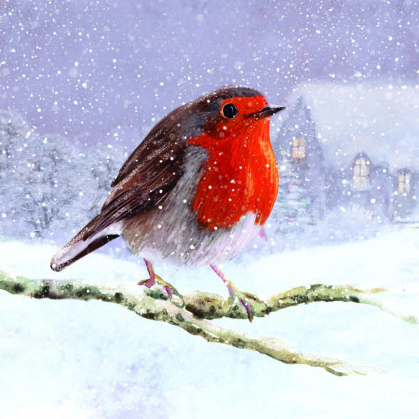 Village Robin - Christmas cards (pack of ten)